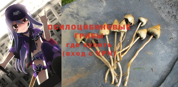 mdpv Белоозёрский
