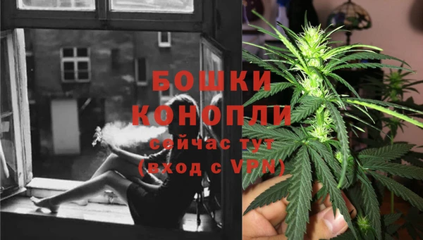 mix Белокуриха