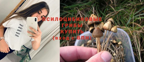 mix Белокуриха