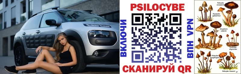 Галлюциногенные грибы мухоморы  цена наркотик  Высоцк 